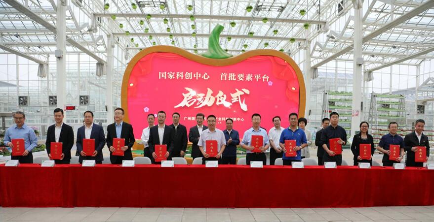 pg����ģ����(�й���)�ٷ���վ