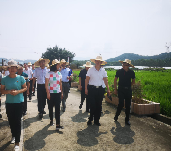 pg����ģ����(�й���)�ٷ���վ