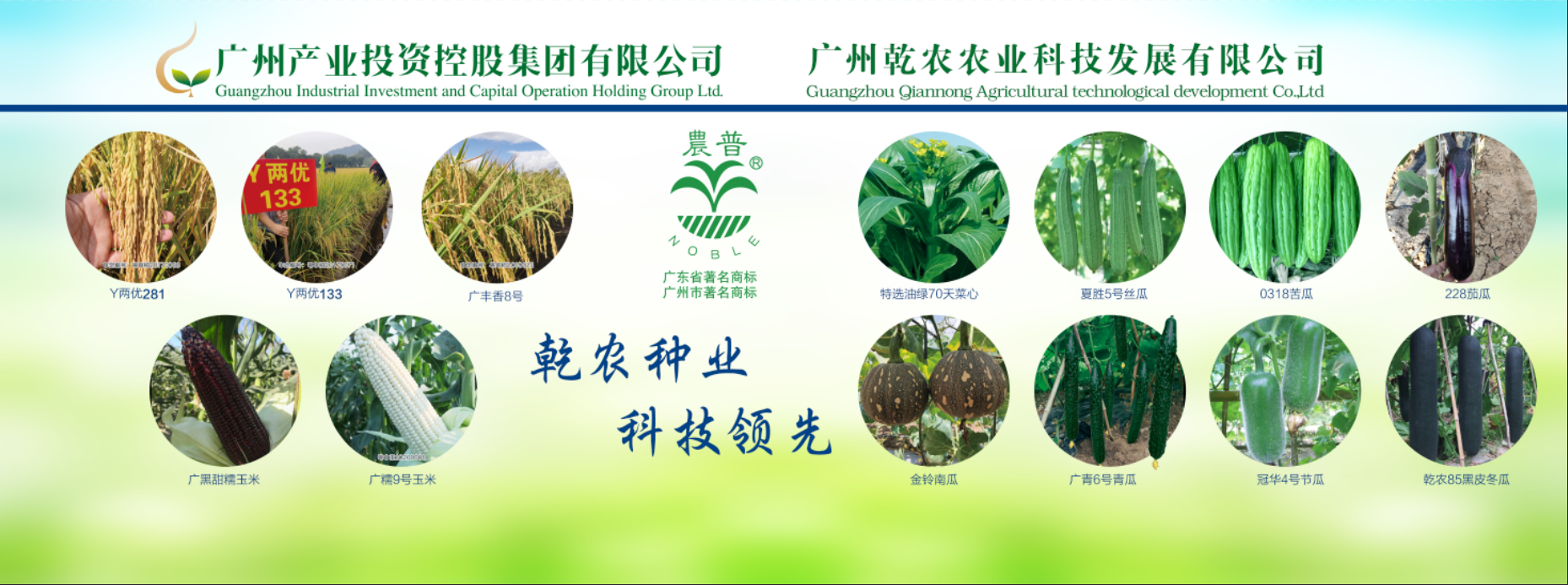 pg����ģ����(�й���)�ٷ���վ