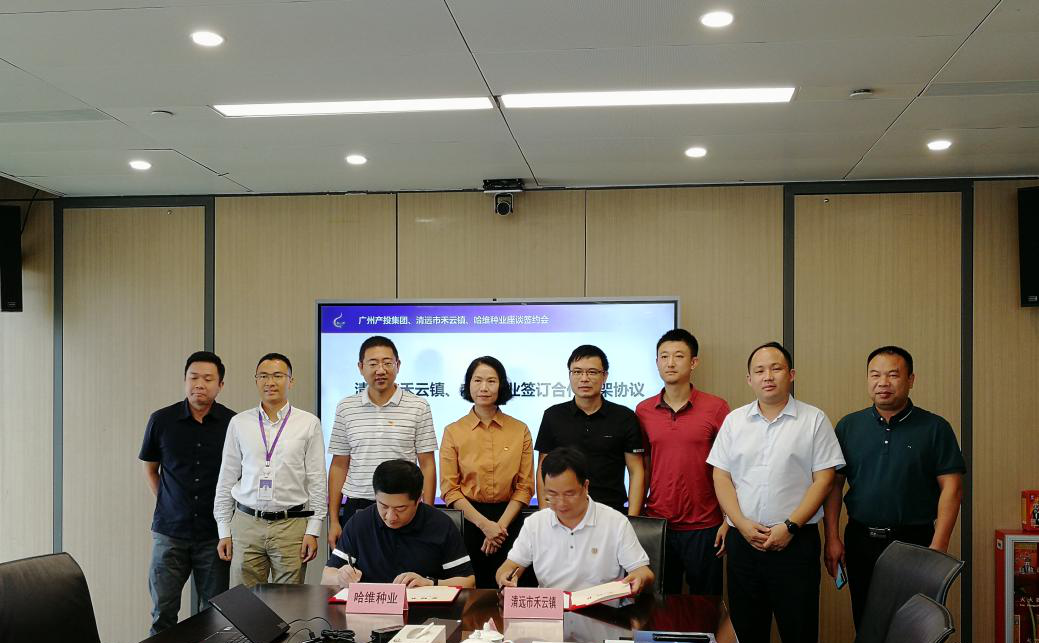 pg����ģ����(�й���)�ٷ���վ