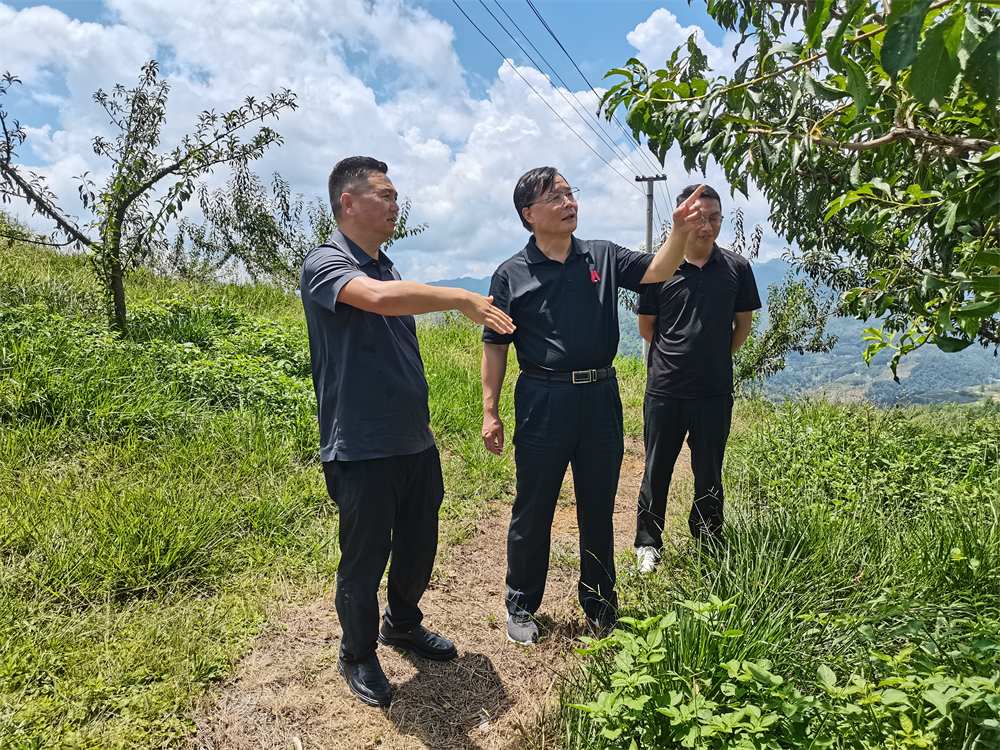 7b41e6386a759a1c9b4cafc01b34bce7 pgµç×ÓÄ£ÄâÆ÷(ÖйúÓÎ)¹Ù·½ÍøÕ¾