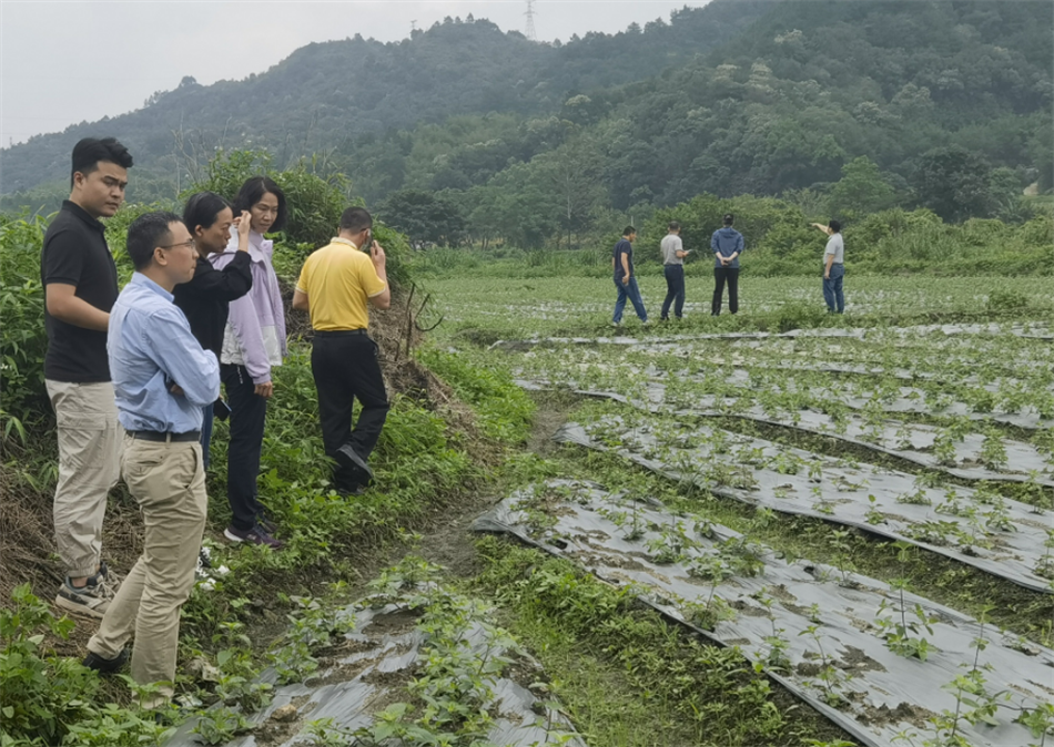 pg����ģ����(�й���)�ٷ���վ