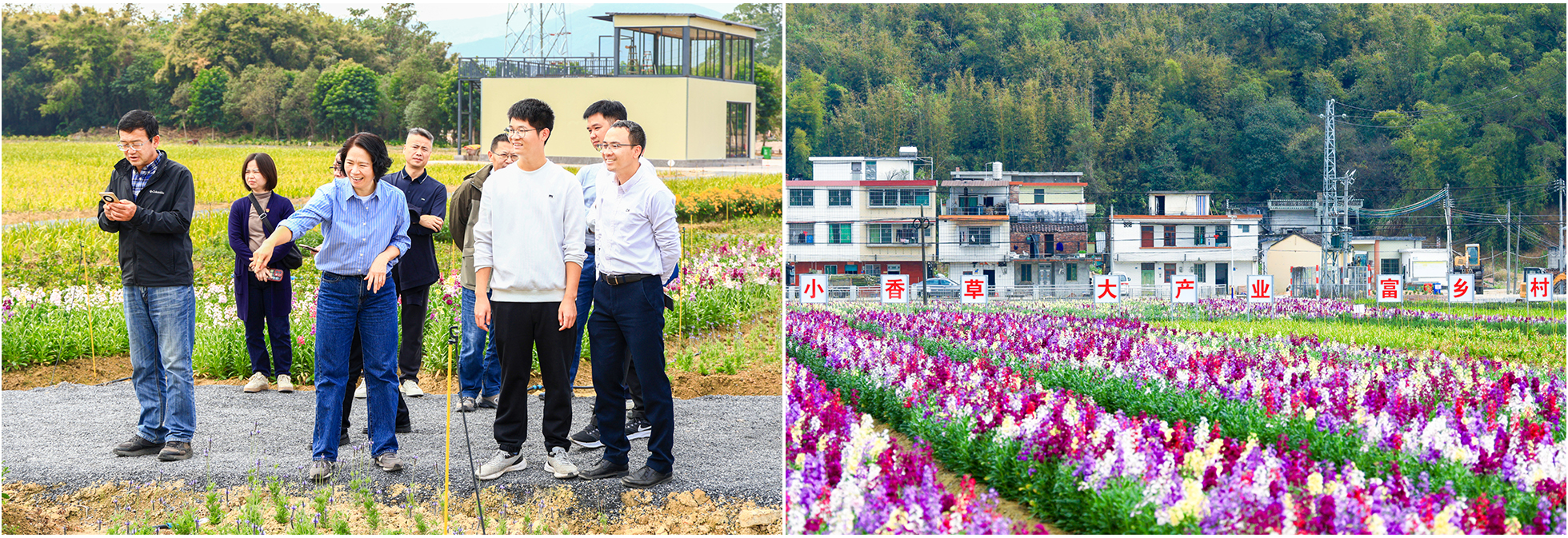 pg����ģ����(�й���)�ٷ���վ