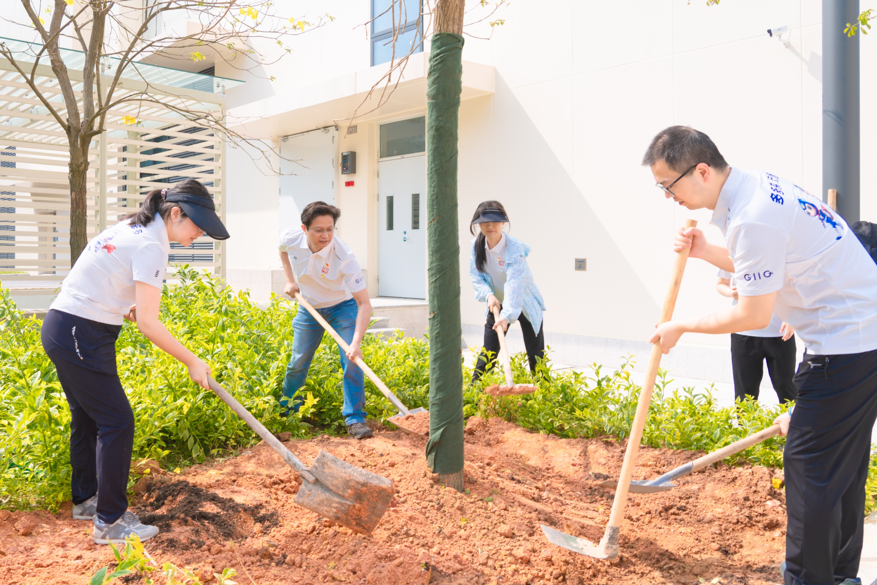 pg����ģ����(�й���)�ٷ���վ