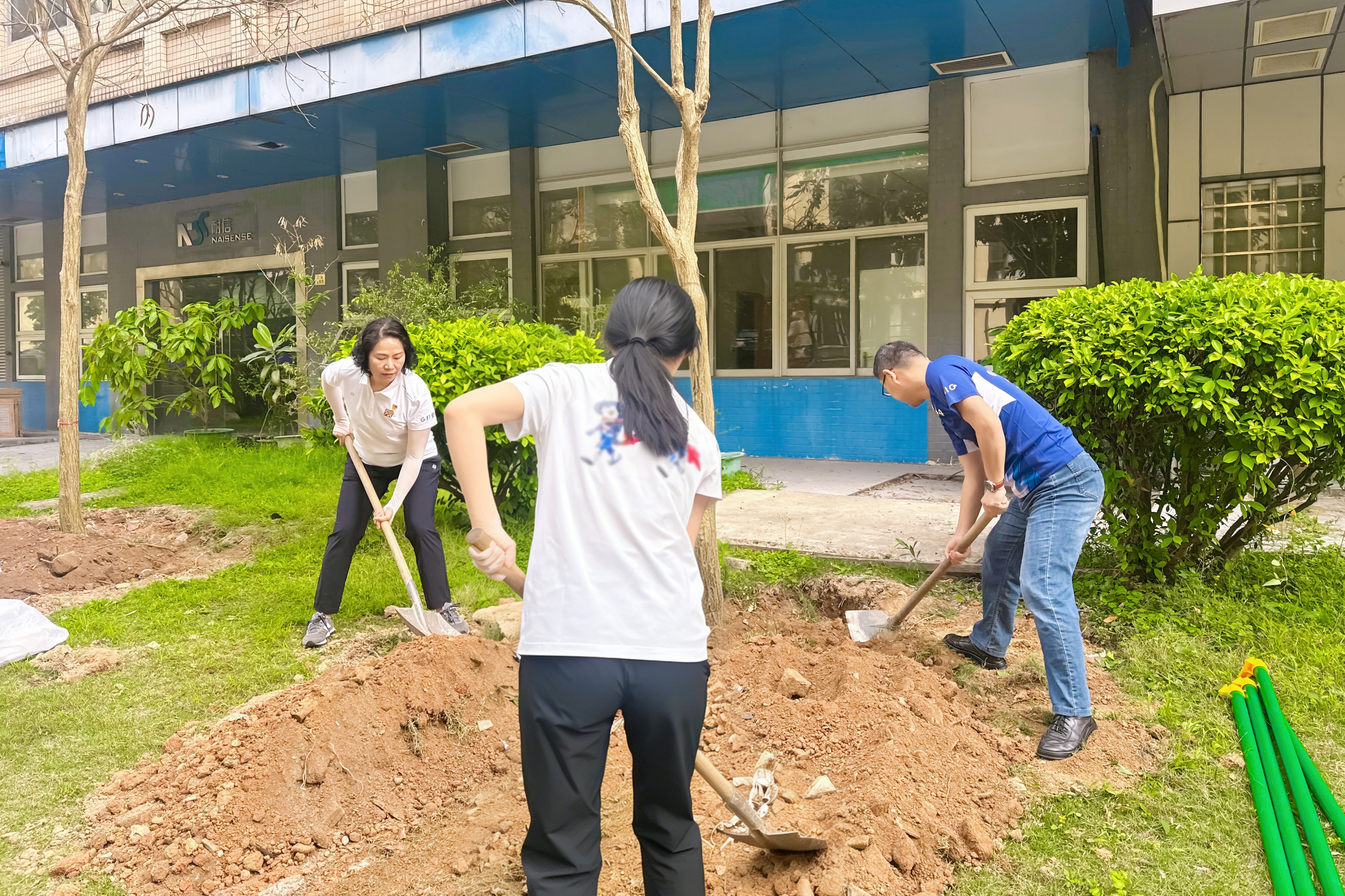 pg����ģ����(�й���)�ٷ���վ